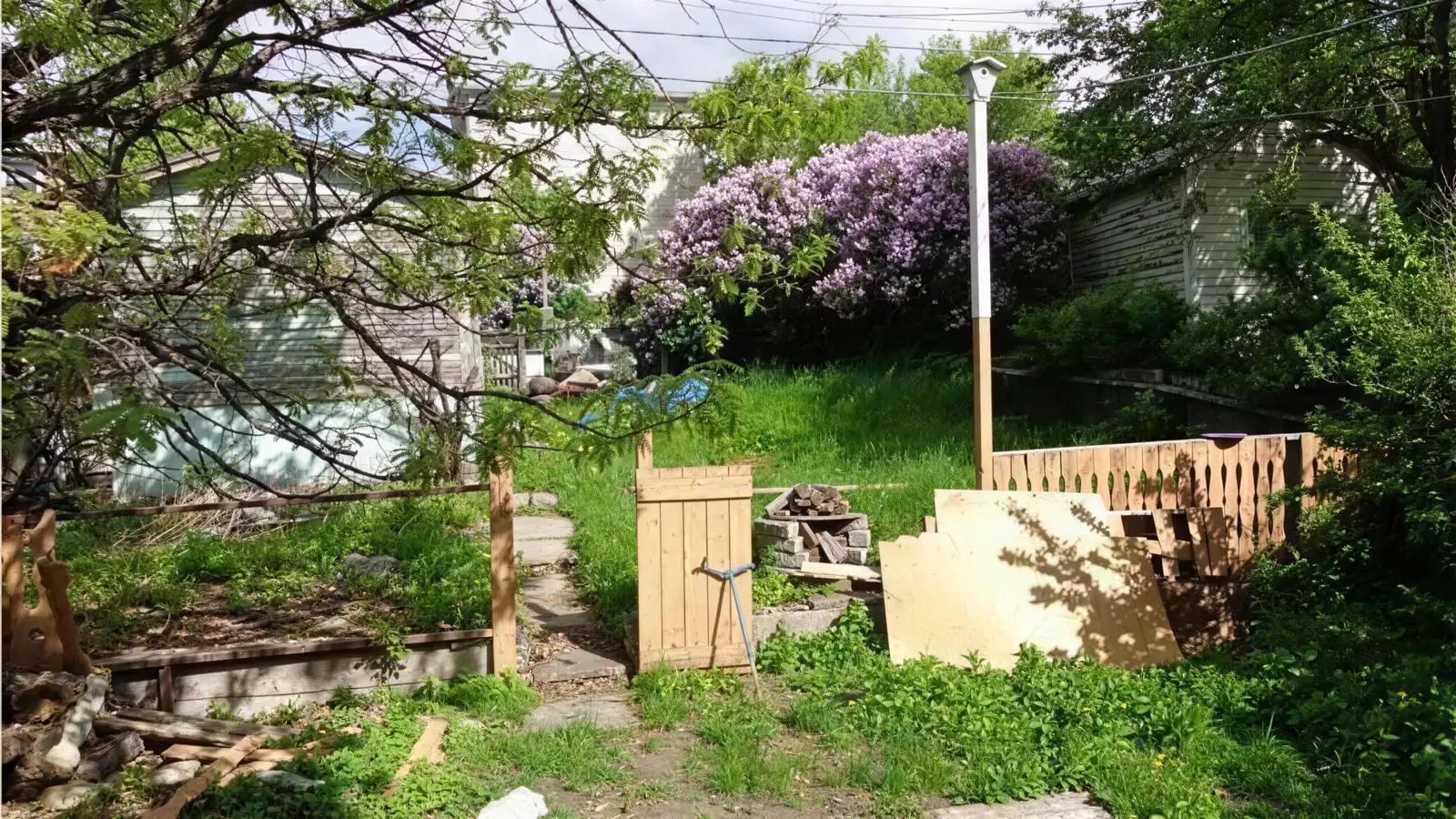 Back yard before landscaping, with bare ground